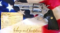 2nd Amendment USA Constitution